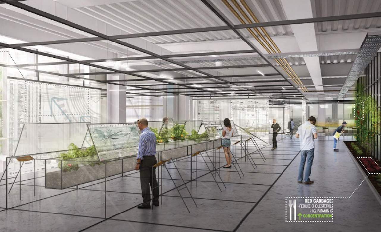 Could This New Sky Garden Be The Workplace of the Future?
