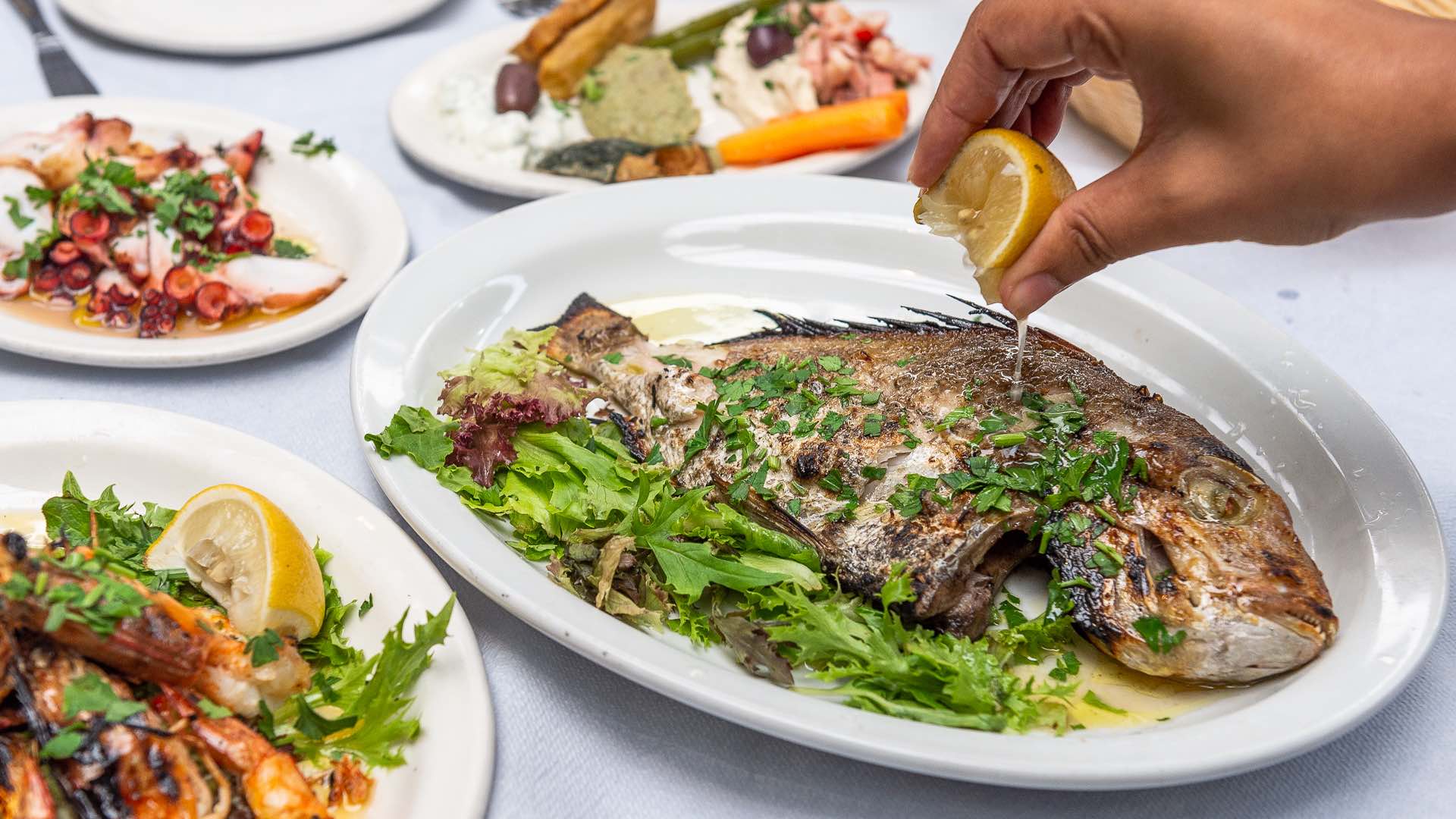 Seafood dishes at Jim's Greek Tavern - Greek restaurant in Melbourne