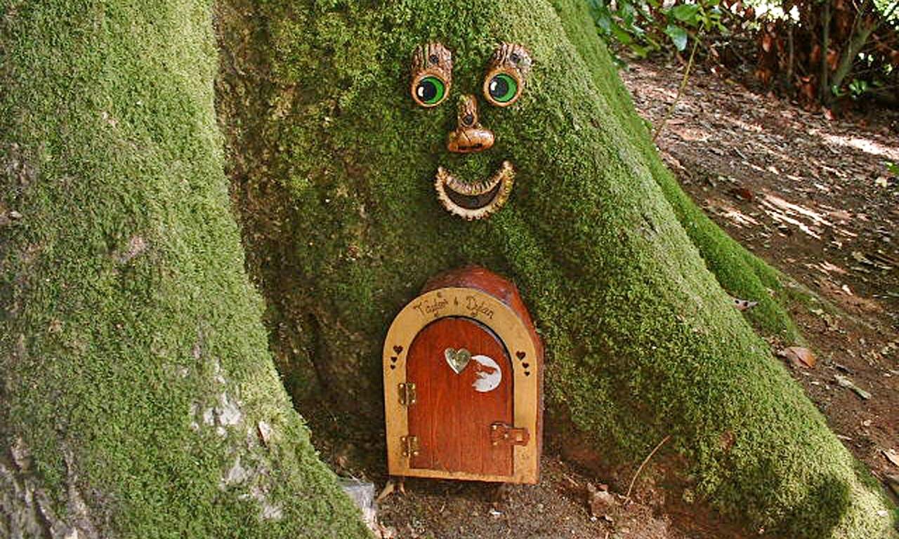 Some Jerks Are Trying to Control the Outbreak of a Fairy Epidemic in an Enchanted Forest in England
