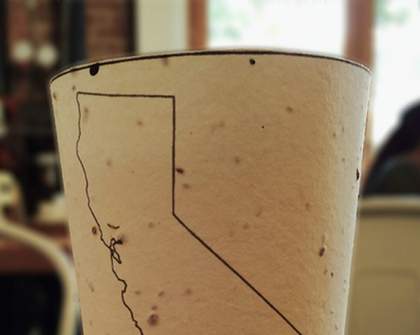 Litter All You Want With These Plantable Coffee Cups 
