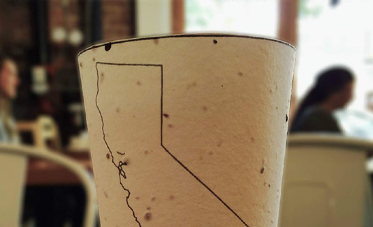 Litter All You Want With These Plantable Coffee Cups 