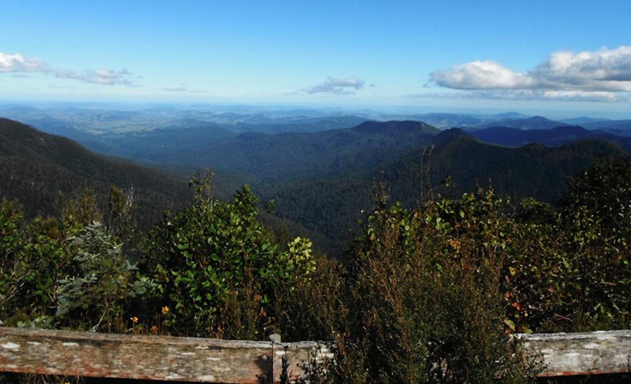 Careys Peak Lookout