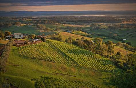 A Weekender's Guide to the Hunter Valley