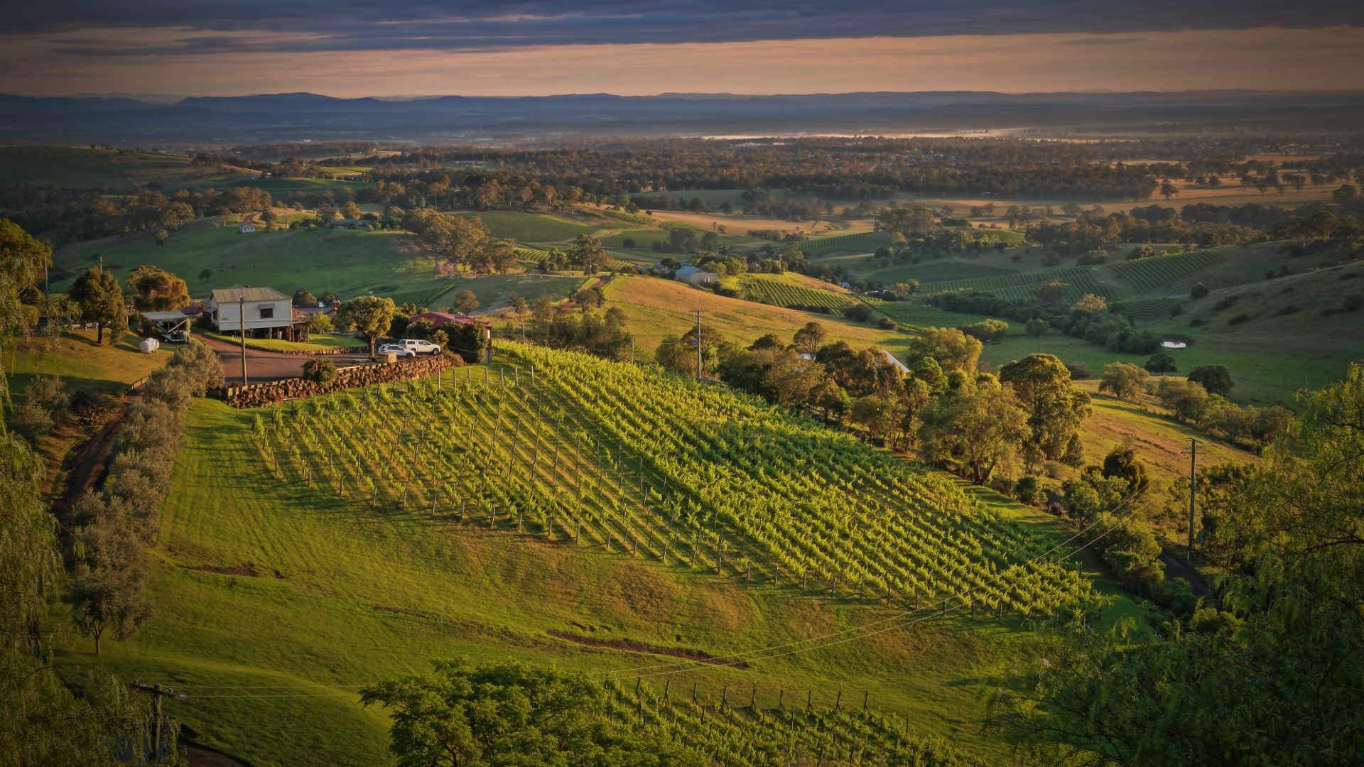 A Weekender's Guide to the Hunter Valley