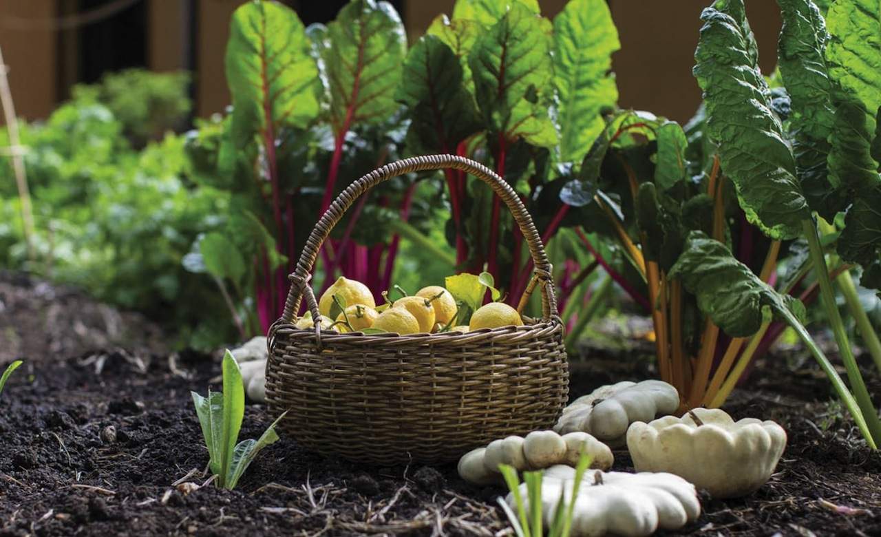 Autumn Harvest Festival at Rouse Hill House and Farm