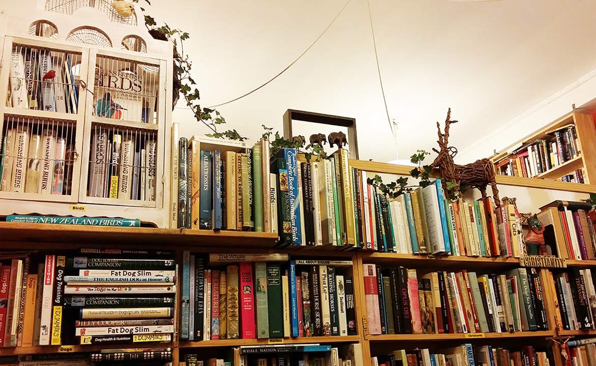 The Eight Best Bookstores in Wellington