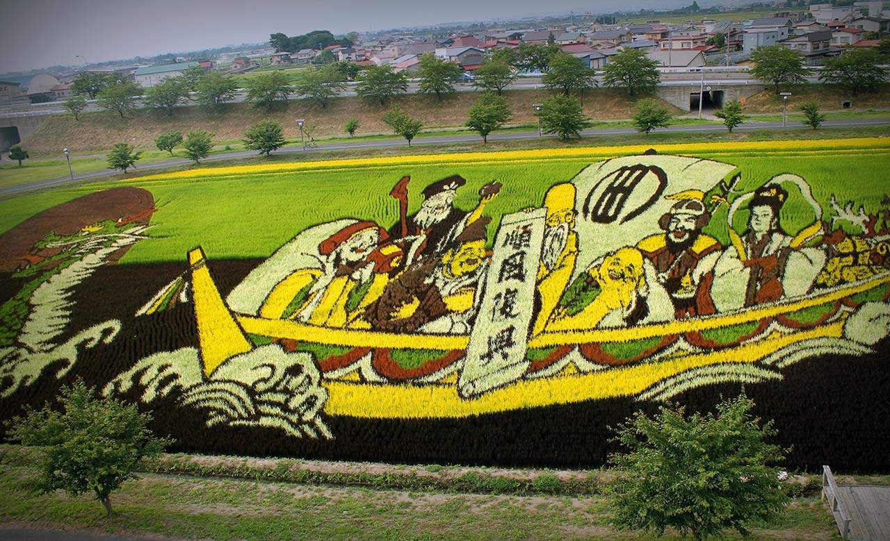 See Japan's Large-Scale Rice Paddy Art