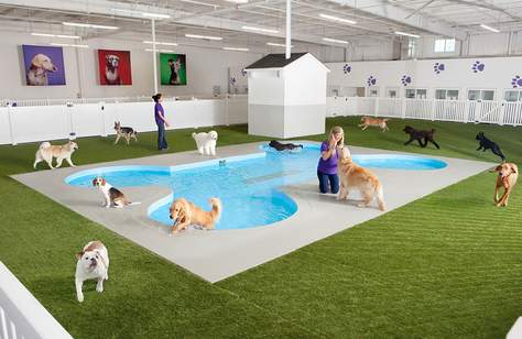 New York's JFK Airport Is Building a Luxury Terminal for Your Pets