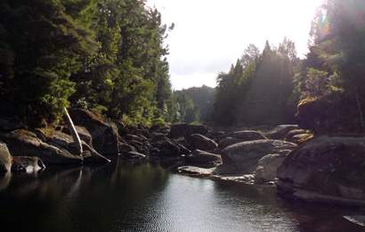 Background image for New Music Festival to Launch in Bay of Plenty
