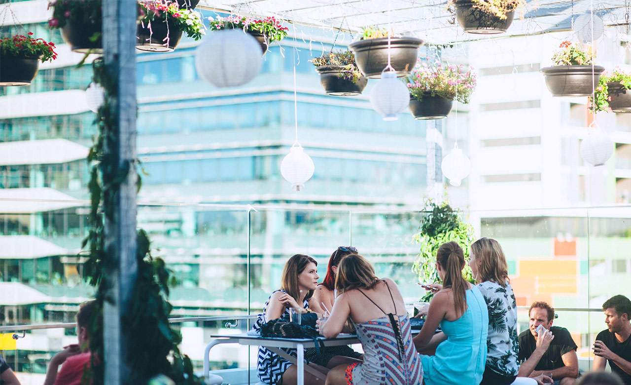 Rooftop Delights at Up on Constance