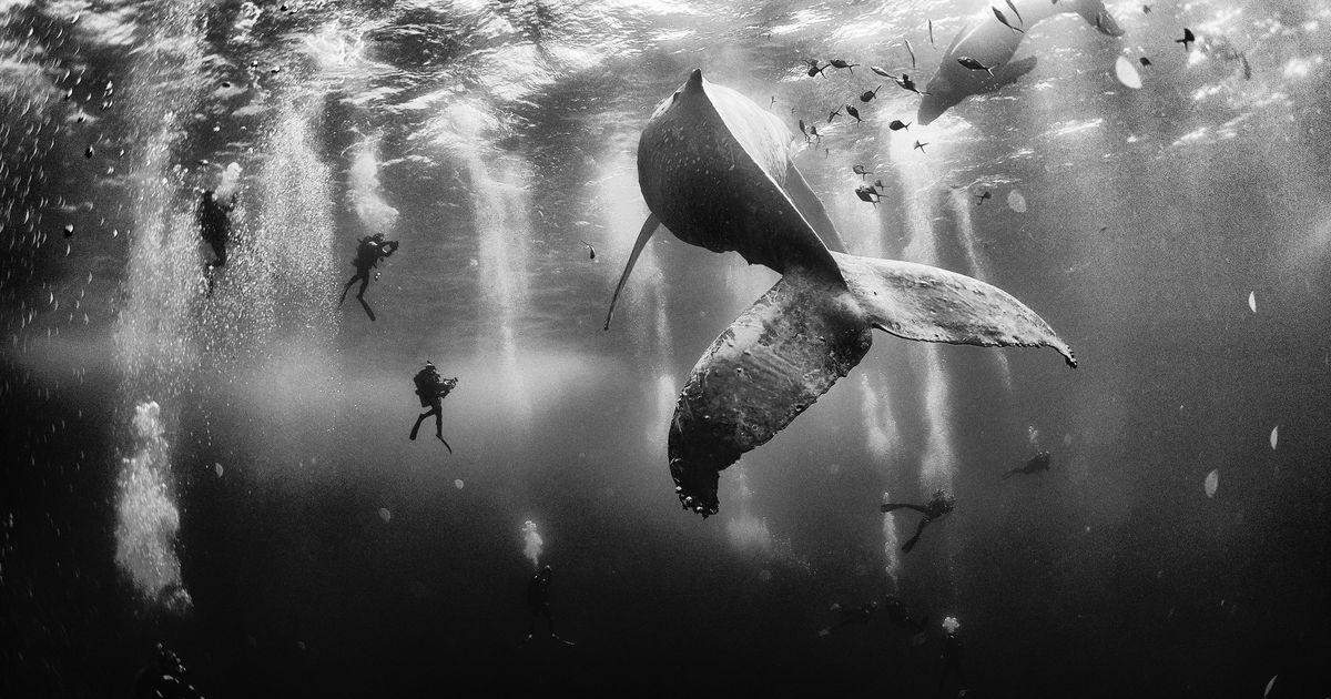 See Ten Incredible Photographs from National Geographic's Traveller Photo Contest
