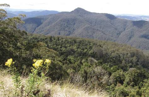 Pieries Peak Walking Track