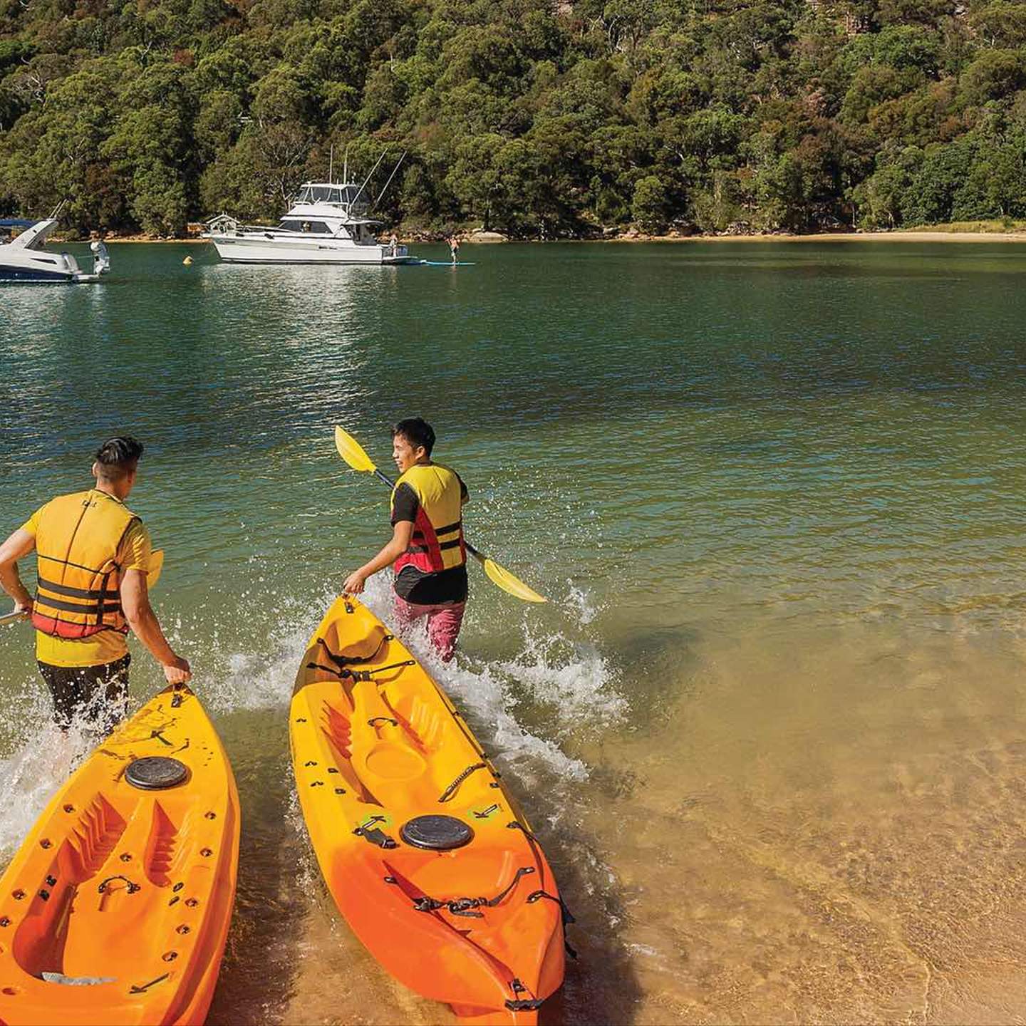 Sea Me Paddle Kayaking Tours (Lakeside) - 2020 All You Need to Know BEFORE  You Go (with Photos) - Tripadvisor