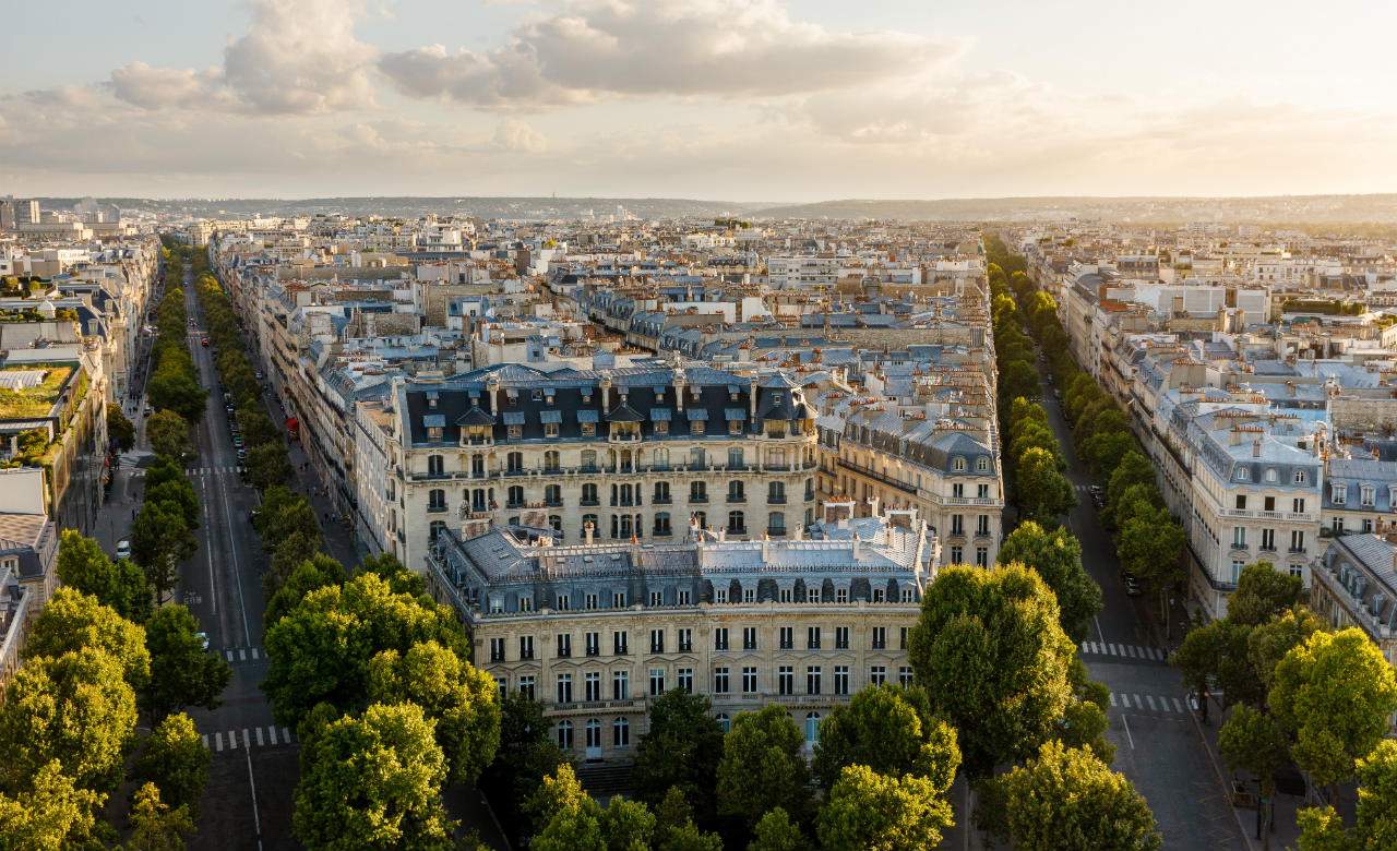 new green city government is banning cars in the city centre