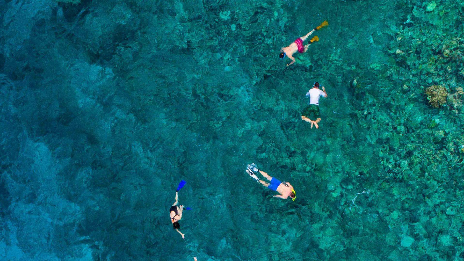 Thirteen of the Best Snorkelling Spots in Sydney You Should Bookmark for Summer