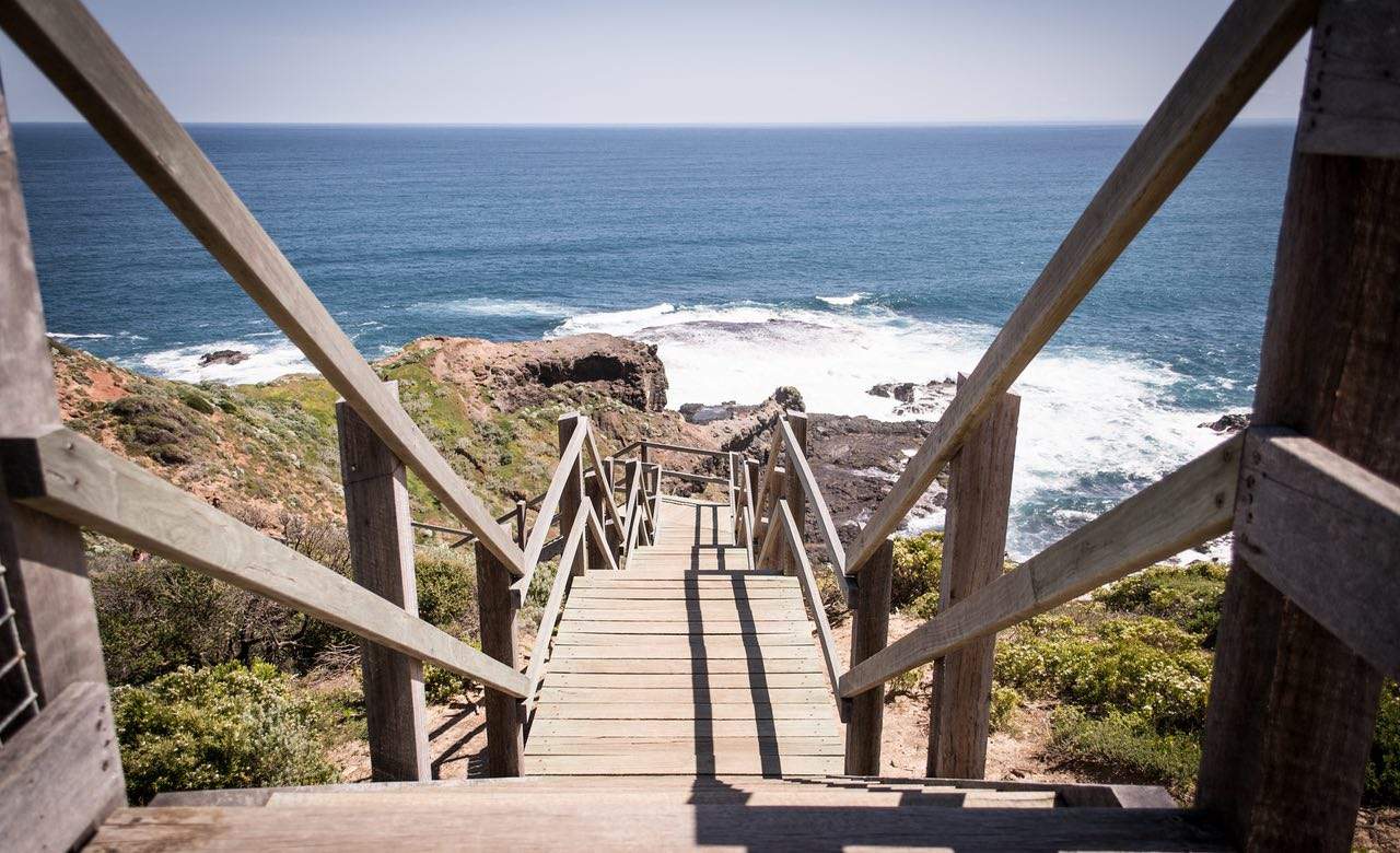 BUSHRANGERS BAY TRAIL, MORNINGTON PENINSULA - one of the best walks in Melbourne.