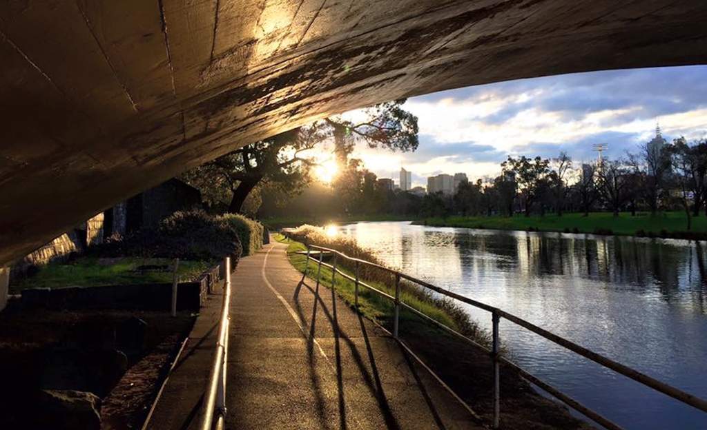 The Ten Best Walks In and Around Melbourne | Concrete Playground Melbourne