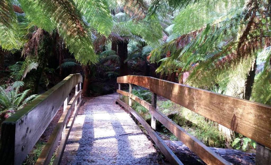 The Ten Best Walks In and Around Melbourne | Concrete Playground Melbourne