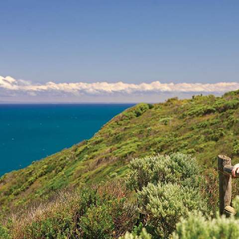 Best Hikes Near Melbourne walks