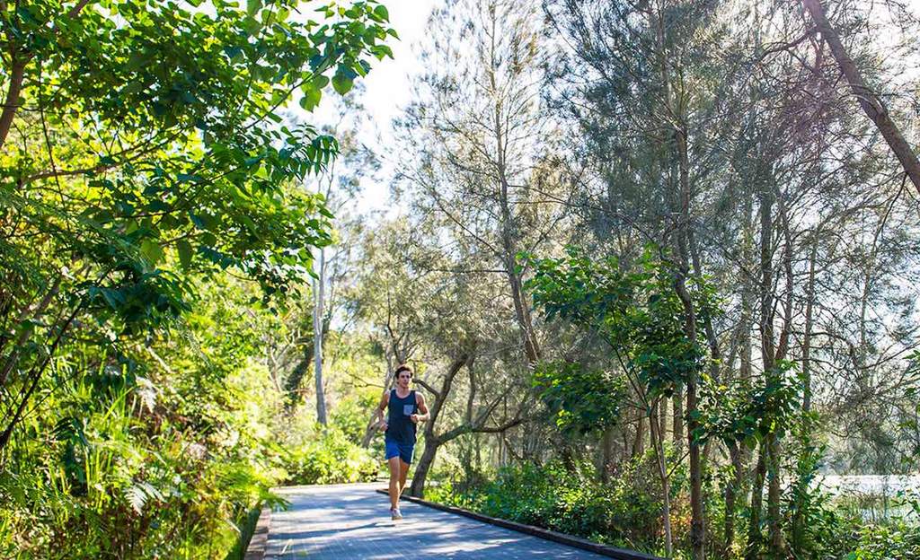 sydney travel leisure best bike rides sydney travel leisure best bike rides