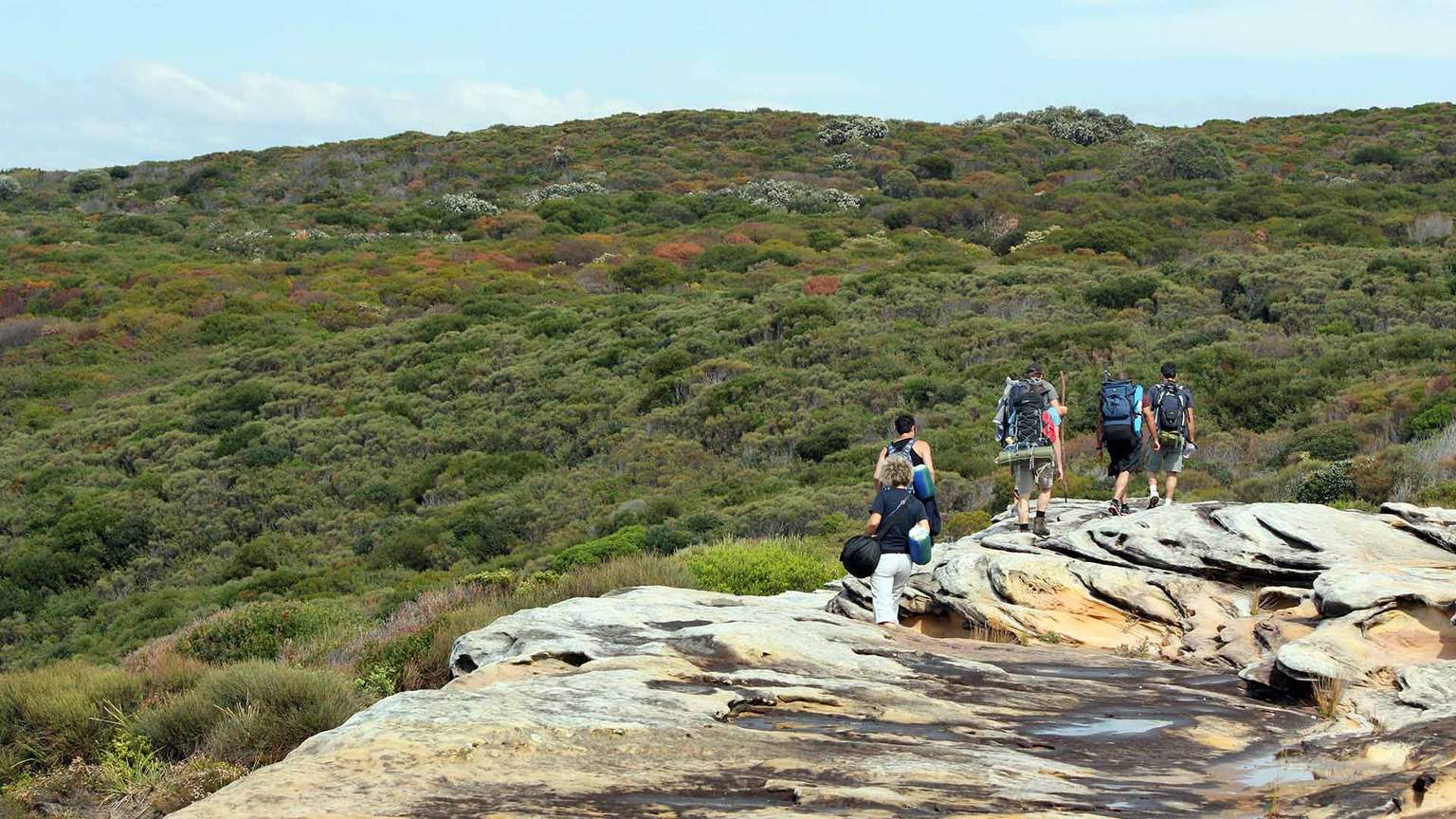 The Five Best Overnight Hikes Near Sydney Concrete Playground