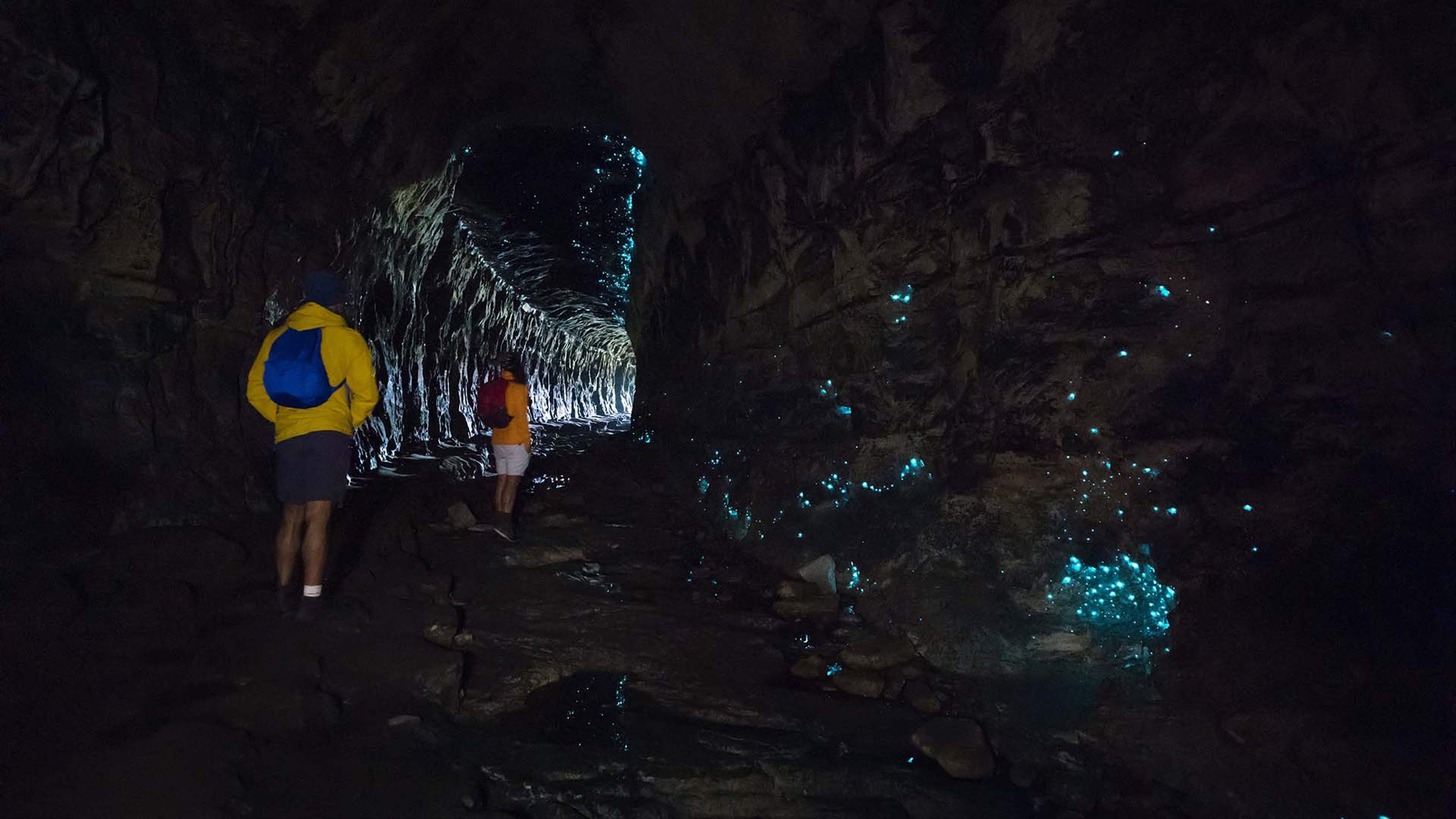 The Five Best Overnight Hikes Near Sydney Concrete Playground