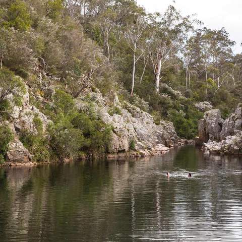 SWIMMING WITH YOUR DOG IN VICTORIA: BLUE POOL, BRIAGOLONG STATE FOREST