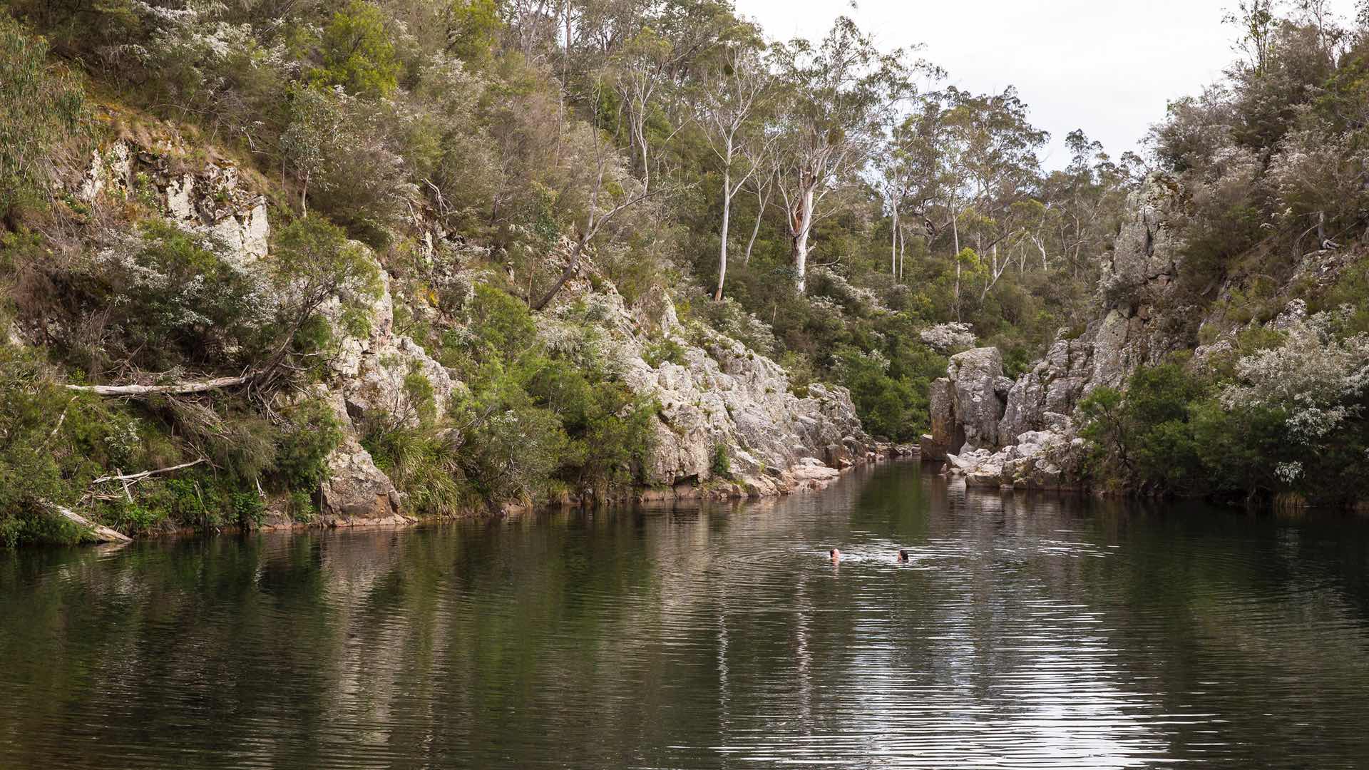 SWIMMING WITH YOUR DOG IN VICTORIA: BLUE POOL, BRIAGOLONG STATE FOREST
