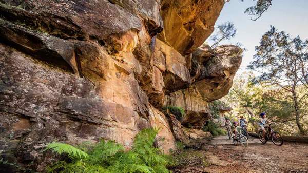 best bike rides sydney - ROYAL NATIONAL PARK