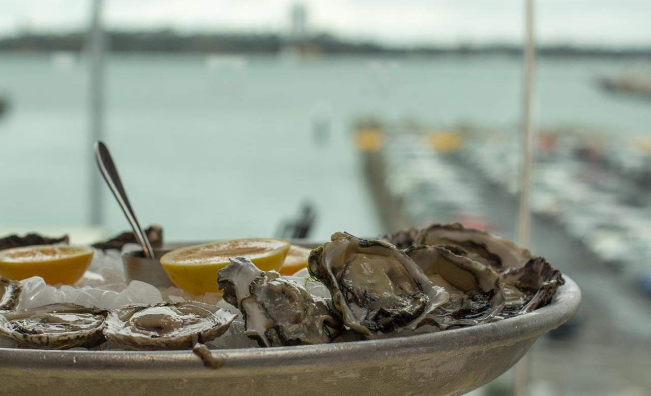 The Seven Best Oyster Bars in Auckland