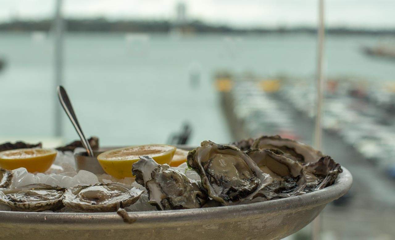 The Seven Best Oyster Bars in Auckland Concrete Playground