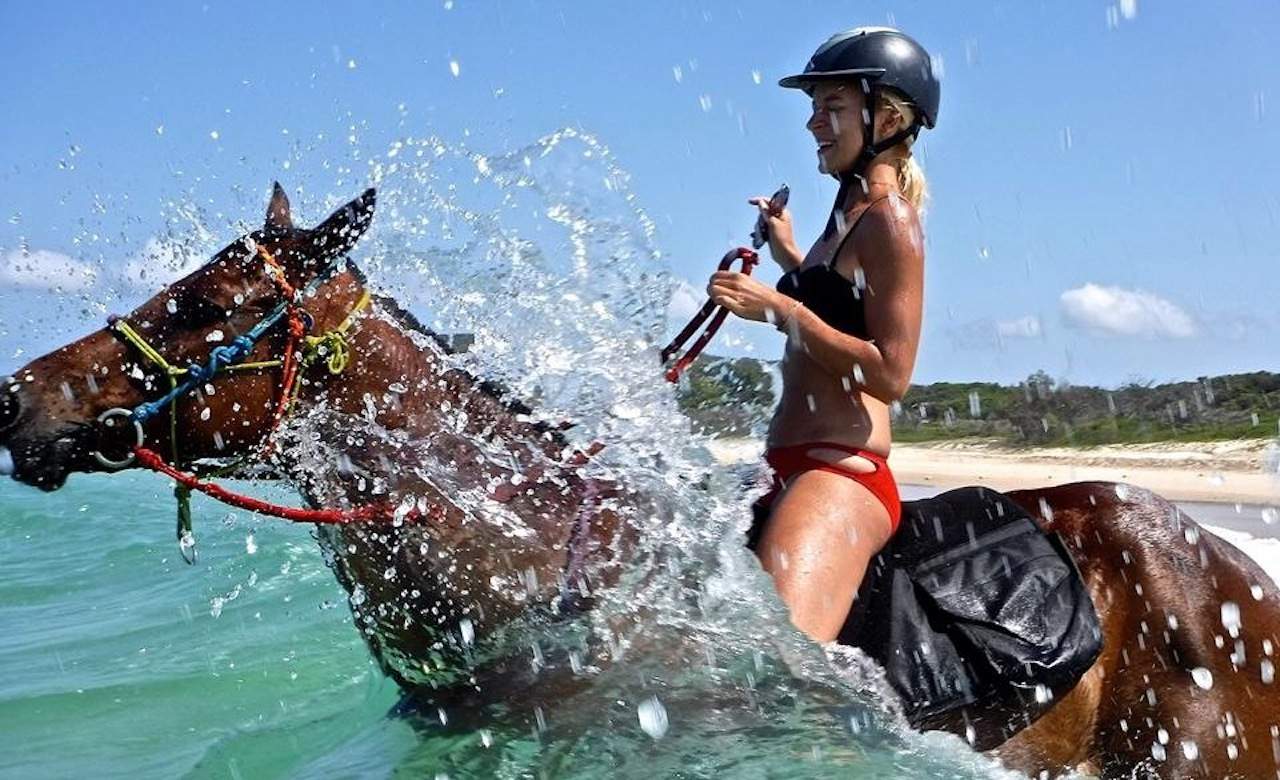 The Five Best Places To Go Horse Riding Near Brisbane