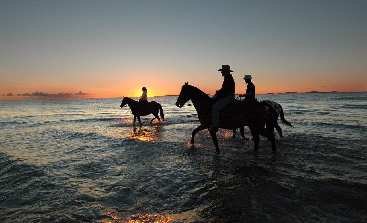 The Five Best Places to Go Horse Riding Near Brisbane