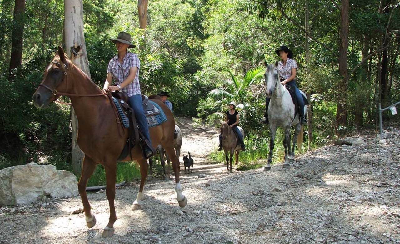 The Five Best Places To Go Horse Riding Near Brisbane