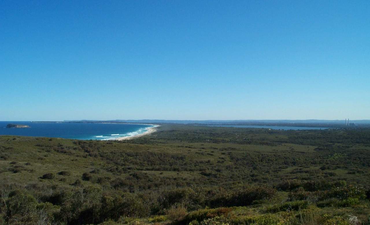 The Five Best Nudist Beaches Near Sydney Concrete Playground