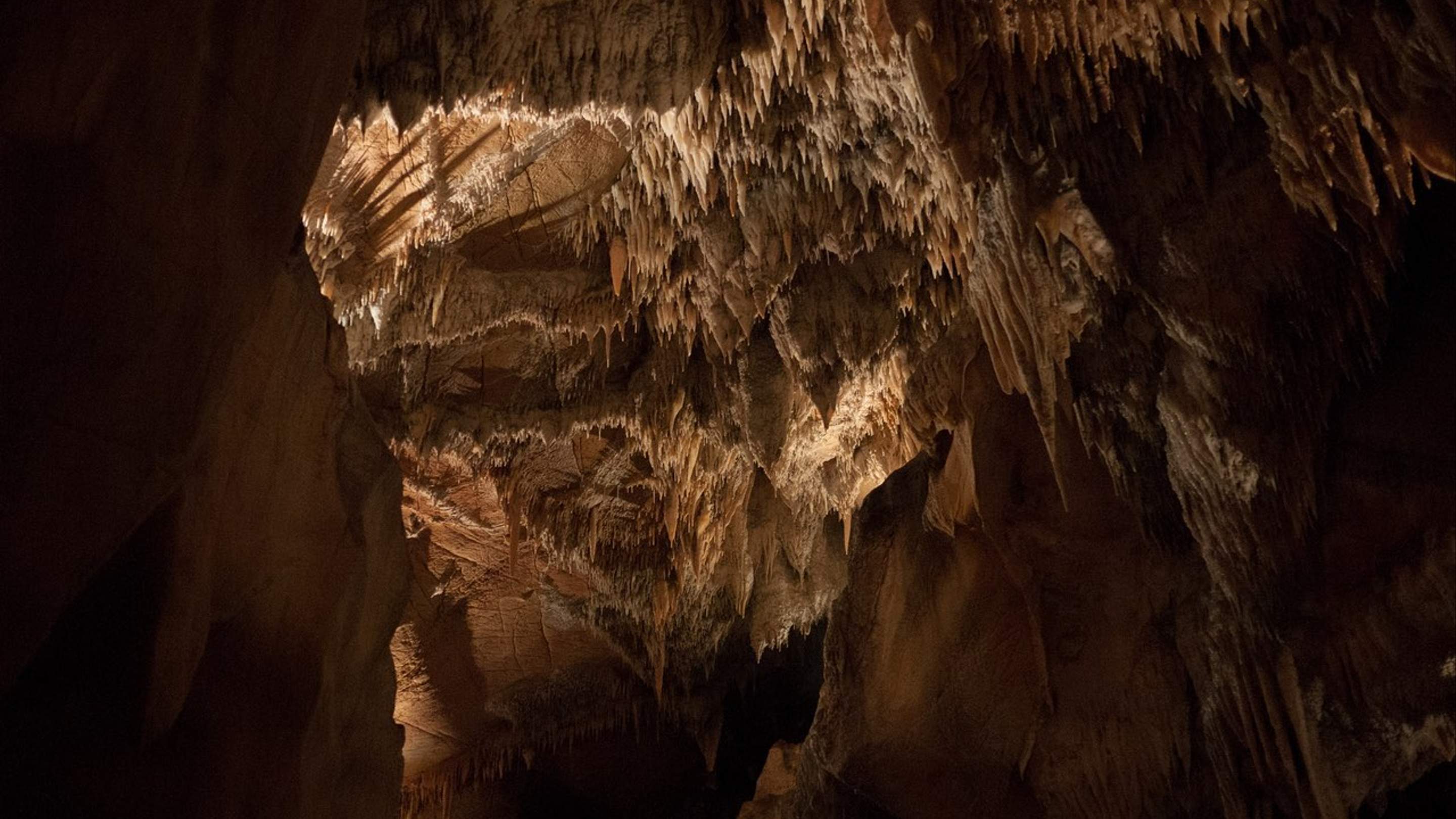 The Ten Best Caves to Visit Near Sydney