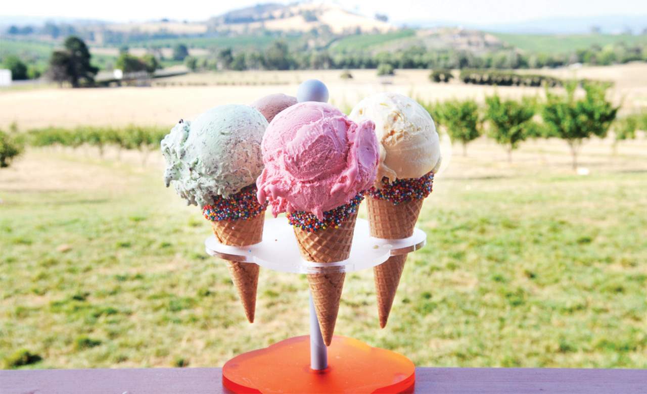 Yarra Valley Ice Cream Festival Concrete Playground