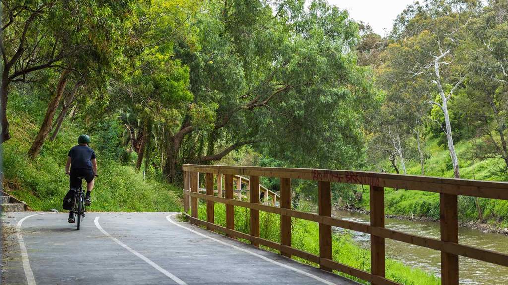 The Best Bike Rides In and Around Melbourne