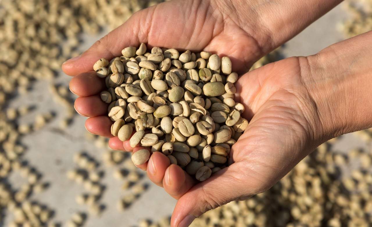 Coffee Flour Could Soon be Caffeinating a Baked Good Near You