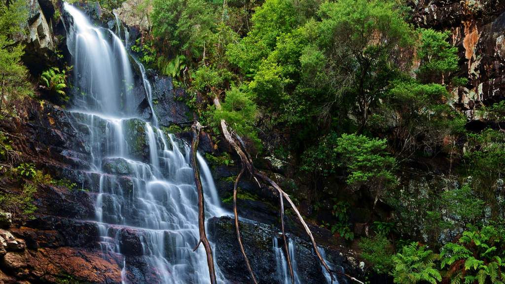 The Most Spectacular Waterfalls to Visit Near Sydney - Concrete Playground