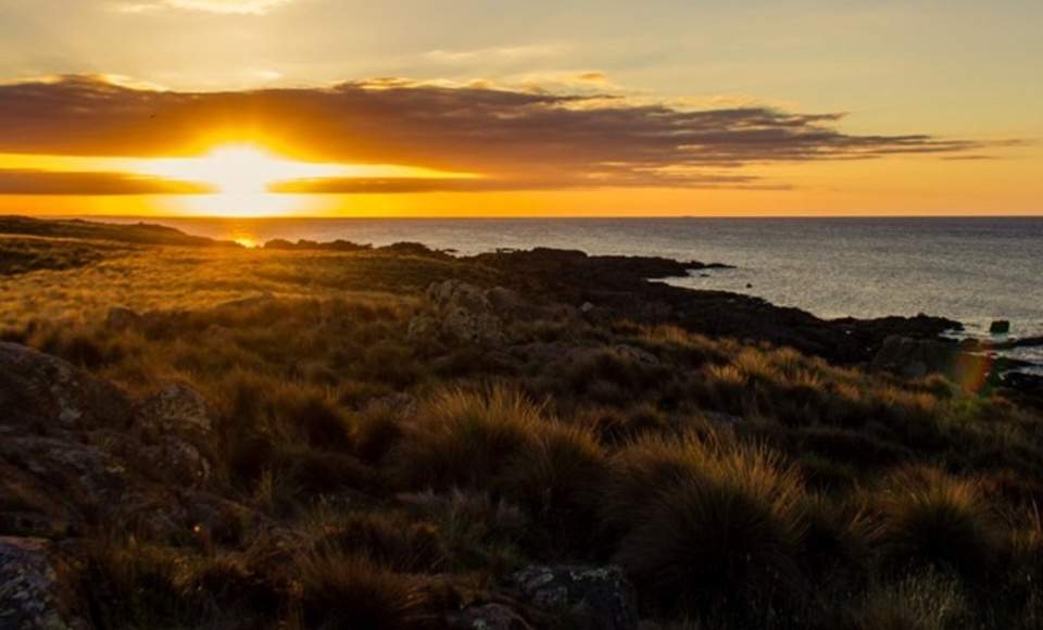 You Can Now Buy Your Own Private Island Off the Coast of Tasmania