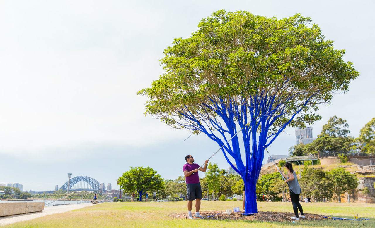 Why Is This Artist Colouring Sydney's Trees Electric Blue?
