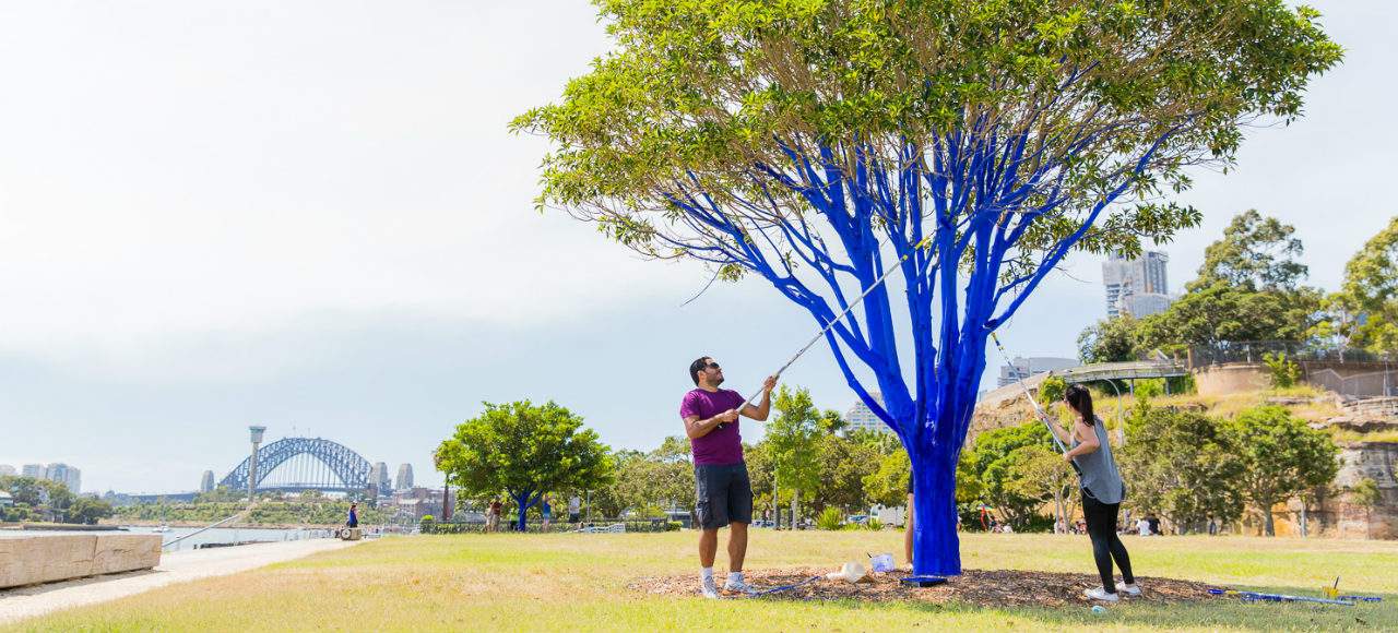 Why Is This Artist Colouring Sydney's Trees Electric Blue?