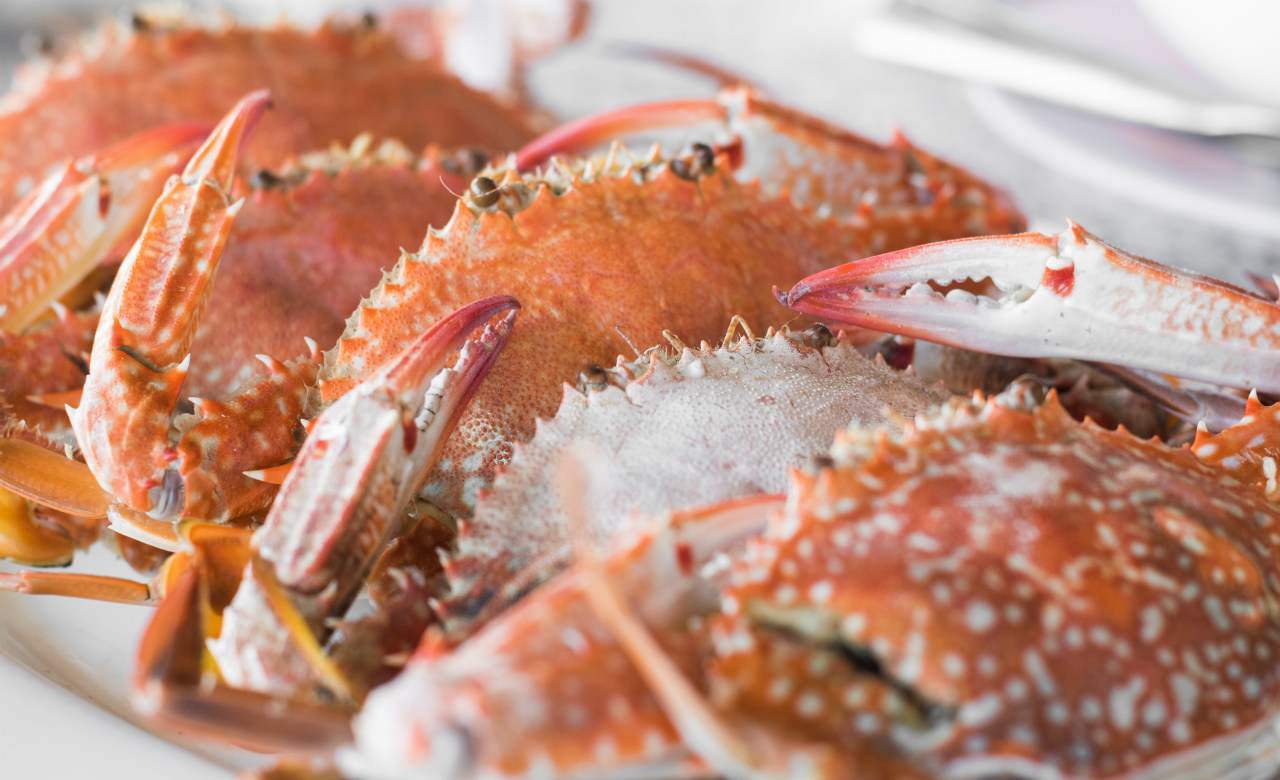 Brisbane Is Finally Getting Its Own Crab Shack
