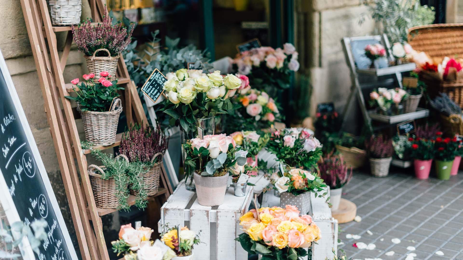 Your Guide to Auckland Florists Concrete Playground