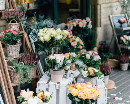 Your Guide to Auckland Florists