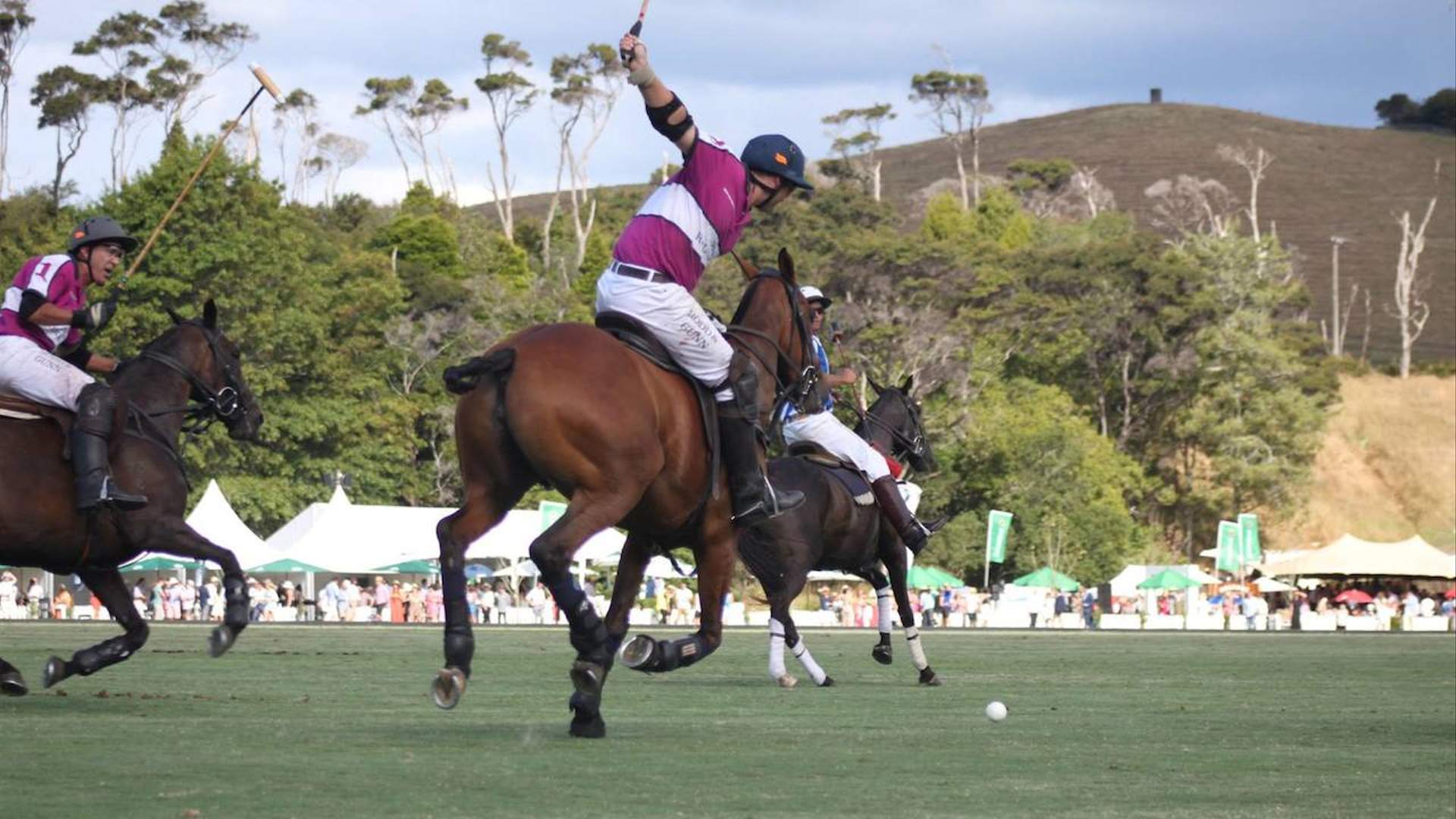 Win Tickets to the Land Rover NZ Polo Open - Concrete Playground