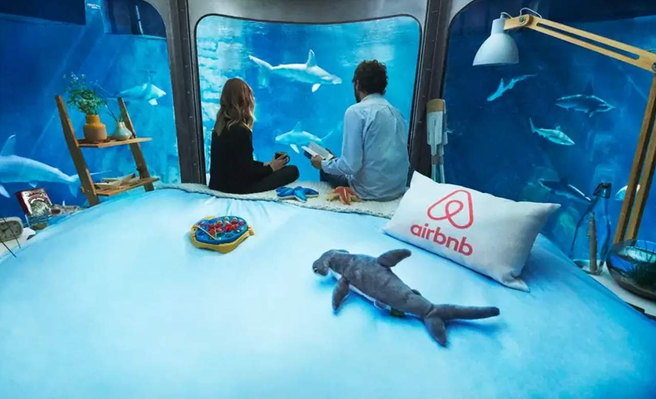 You Can Stay the Night in Shark-Infested Waters Thanks to Airbnb