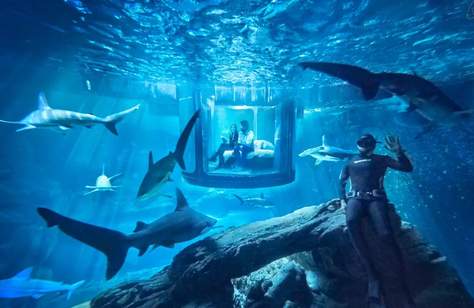 You Can Stay the Night in Shark-Infested Waters Thanks to Airbnb