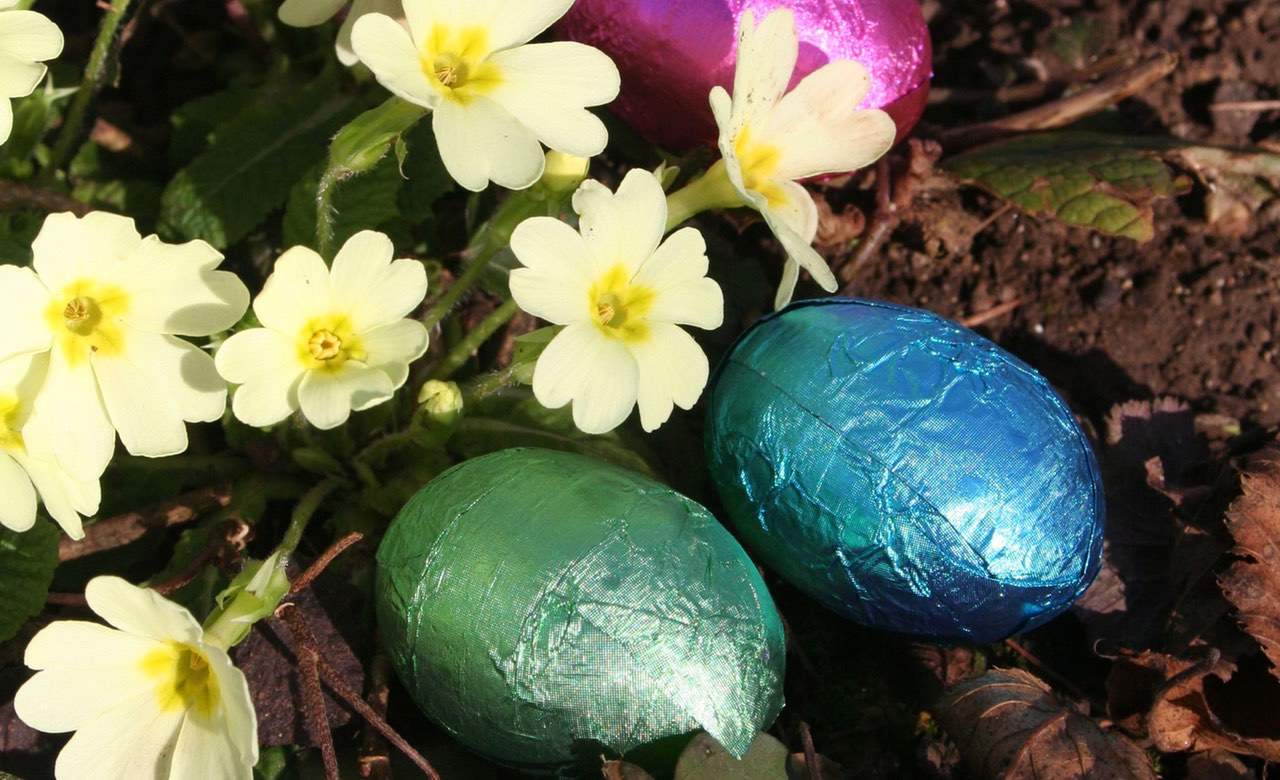 The Great Luna Park Easter Egg Hunt